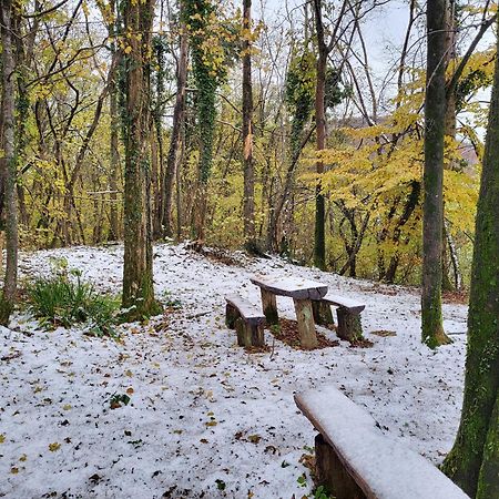 Koca Sredi Gozda Kanal Exterior foto